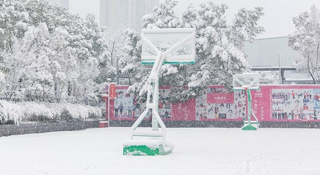 校园雪景1